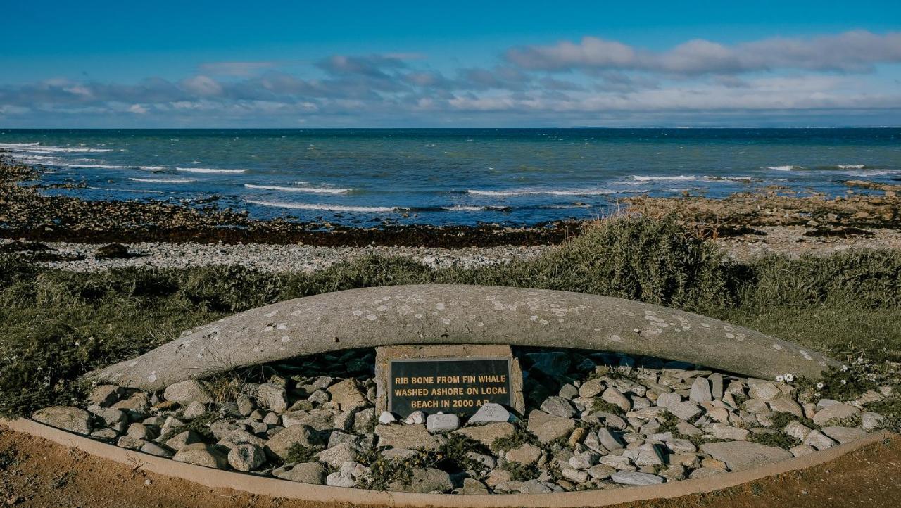 The Wooden House Kilmore Quay Exterior foto